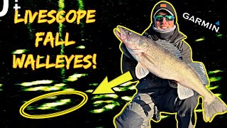 I Caught My HEAVIEST KANSAS WALLEYE on LIVESCOPE Late Fall Walleye Fishing [upl. by Ahsinhoj35]