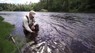 Atlantic Salmon fly fishing [upl. by Nnyl]