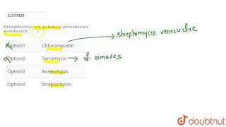 Streptomyces griseus produces antibiotic [upl. by Mariquilla851]