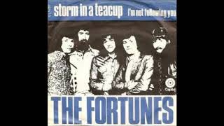 The Fortunes Storm in a teacup Single 1972 [upl. by Kendal]