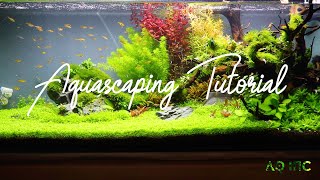 Step by Step Aquascaping Tutorial 200L [upl. by Spitzer]