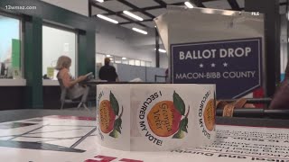 Georgia Board of Elections rule could allow boards to delay certification prompts lawsuit [upl. by Nyrac]