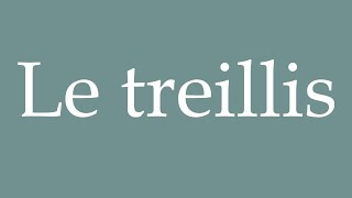 How to Pronounce Le treillis The trellis Correctly in French [upl. by Oidacra]