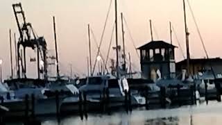 Gulfport Mississippi small craft harbor on April 28 2023 [upl. by Otsuj]