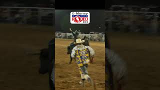 Steer Riding  G Rodeo [upl. by Yvan]