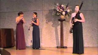 Shostakovich Prelude Op 34 15 for Flute Clarinet amp Bassoon Woodwind Trio [upl. by Elicec]