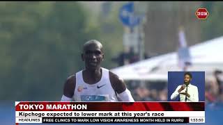 Eliud Kipchoge to reclaim title in 2024 Tokyo Marathon this Sunday [upl. by Ellehcar]