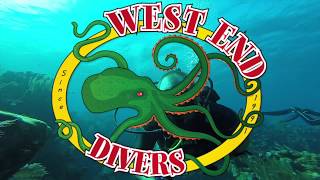 Diving in Roatan with West End Divers [upl. by Elesig]