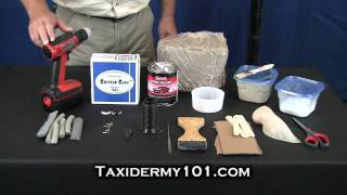 How to Taxidermy  Deer Taxidermy  Taxidermy Videos [upl. by Trey]