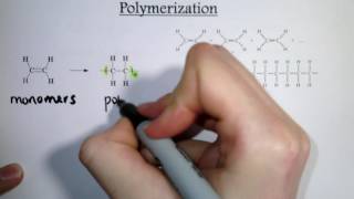 Organic Reaction Types Substitution Addition Polymerization Esterification [upl. by Letta]