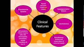 Pediatrics  Inborn Error of Metabolism الأطفال [upl. by Hearn470]