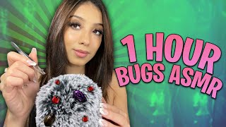 ASMR 1 HOUR OF BUGS 🐛🐜 [upl. by Ahtelahs729]