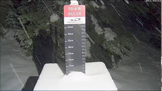 Every Skiers Dream  Whistler Snow Ruler [upl. by Akeenat]