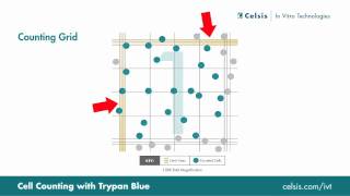 Cell Counting Using the Trypan Blue Exclusion Method [upl. by Aihsot]