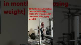 500x1 Beltless Strapless Conventional Deadlift [upl. by Warden]