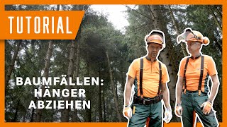 Baum fällen  Abziehen eines mittig hängengebliebenen Baumes [upl. by Coltson]