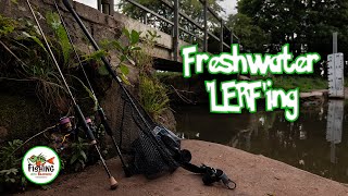 Multi Species Fishing with Micro Lures  LRF Style Fishing [upl. by Symer]