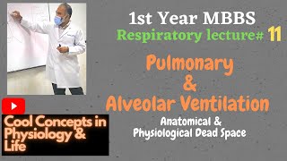 11 Pulmonary amp Alveolar Ventilation  Anatomical amp Physiological Dead Space [upl. by Junina318]