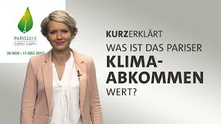 kurzerklärt Was ist das Pariser Klimaabkommen wert [upl. by Merrily]