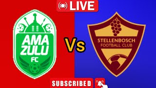 AmaZulu Vs Stellenbosch FC South Africa Premier League Cup Match Today Live 2024 [upl. by Rosenblatt]