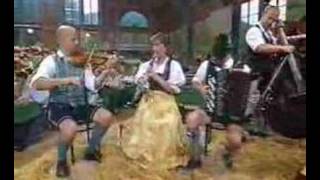 Elstätzinger Musikanten  Windhofer Polka 2004 [upl. by Eek]