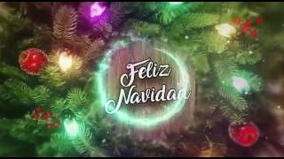 EL MEJOR VÍDEO DE NAVIDAD [upl. by Guss]