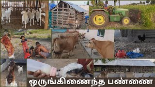 ஒருங்கிணைந்த பண்ணை  Orunginaintha Pannai in Tamil  Integrated Farm in Tamil  Farming in Tamil [upl. by Affra]