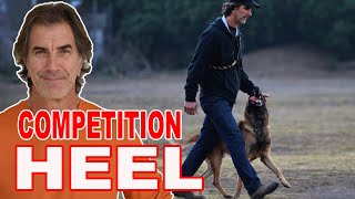 How to Teach Competition Focused Heel to Your Dog [upl. by Jonette]