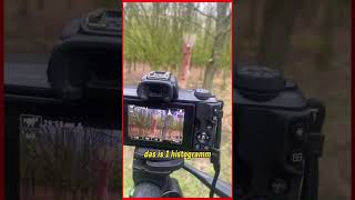 histogram jagdhundeausbildung salzlecke hege niederwild revierleben [upl. by Eizus493]