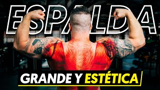 CÓMO DESARROLLAR UNA ESPALDA GRANDE Y ESTÉTICA  Anatomía Biomecánica y Mejores Ejercicios [upl. by Petunia]