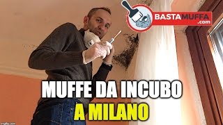 Muffe da Incubo a Milano  Video valutazione con Test della muffa [upl. by Ahsimed]