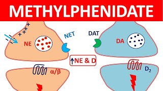 Methylphenidate Ritalin for ADHD  Mechanism precautions side effects amp uses [upl. by Ravi]