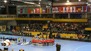 Romania  Cehia Campioantul Mondial de Handbal [upl. by Josiah]