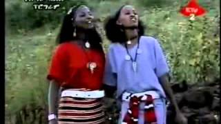 Zeynu Mahbub  Kormangarfo Wollo Oromo Music [upl. by Tiana]