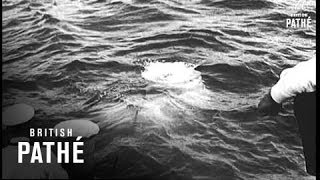 Us Submarine Disaster 1939 [upl. by Fancie]