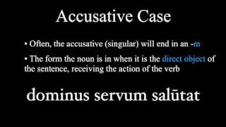 The Nominative and Accusative Cases [upl. by Anaitsirc266]