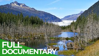 Alaska  The Last Frontier  Free Documentary Nature [upl. by Nosaes922]