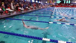 Womens 400 IM E Final  2019 NCSA Spring Swimming Championships [upl. by Asehr]