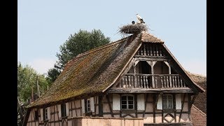 Ungersheim promenade écomusée d’Alsace [upl. by Gall]