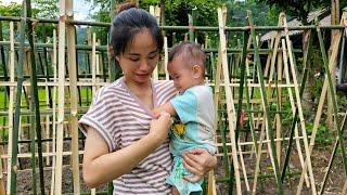 Thu Hường Single Mother Harvest Avocado Orchards Goes to the market to sell  Bamboo Gardening [upl. by Higinbotham]