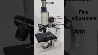 Compound MicroscopeDifferent Parts of Compound Microscope [upl. by Adekram]