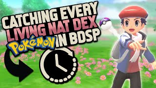 EVERYTHING to do in Post Game in Pokemon Brilliant Diamond Shining Pearl [upl. by Alek908]