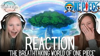 The Breathtaking World Of  ONE PIECE  Reaction 💕 [upl. by Akapol]