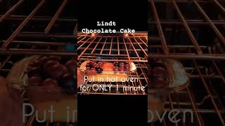 Lindt Chocolate Cake recipe  Yellow Cake recipe yellowcakerecipe lindtchocolates yummydarbar [upl. by Stannwood]