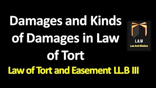 Damages and Kinds of Damages  Law of Torts and Easement [upl. by Colburn22]