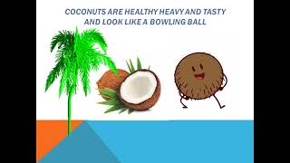 Coconut tree seed dispersal [upl. by Shelden]