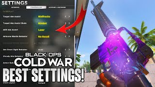 Best PRO Player SETTINGS for 100 ACCURACY Black Ops Cold War [upl. by Froma13]