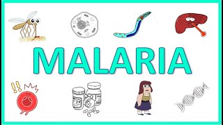 Malaria  Causes Pathogenesis Signs and Symptoms Diagnosis Treatment and Prevention [upl. by Ardnoet908]