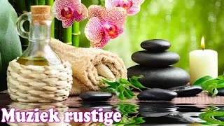 Rustige Ontspannende Muziek ♫ Ontspannende Muziek voor Stress Relief Meditatie Muziek [upl. by Lallage]