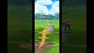 Vigoroth Comes in Clutch in Great League Sunshine Cup  Pokemon GO [upl. by Ecertak]